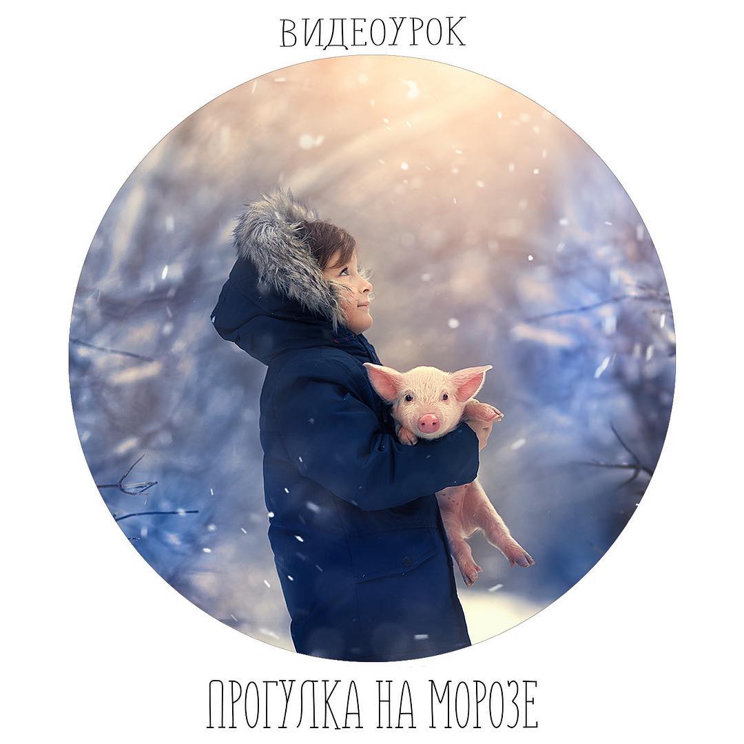 [Anti.photograph] Прогулка на морозе (2018)_0.jpg